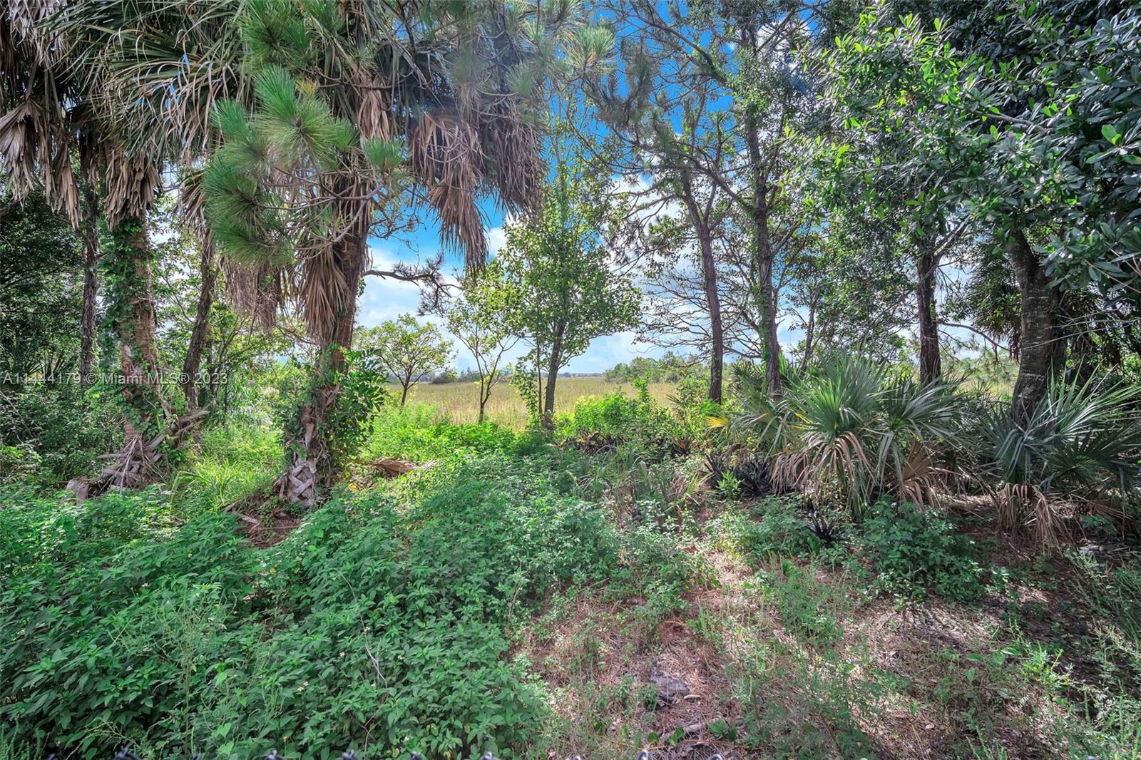 CHAPEL TRAIL II - Residential