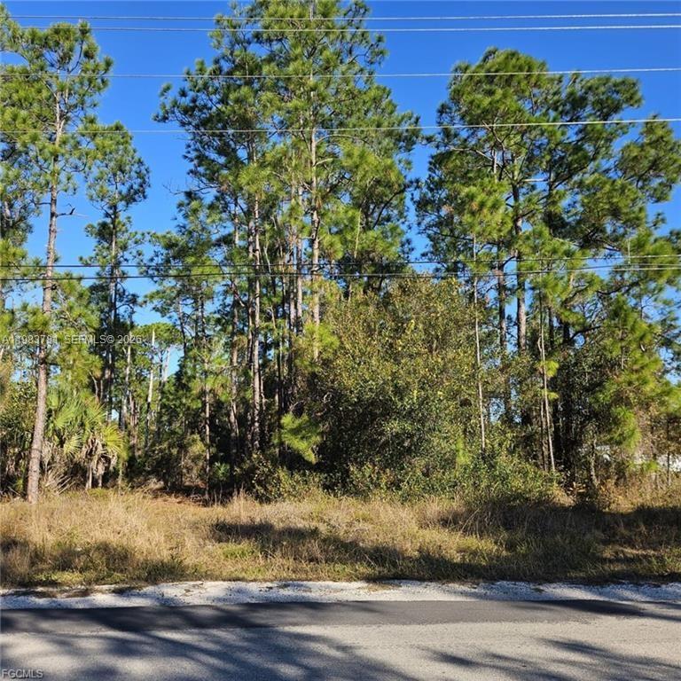Lehigh Acres - Land