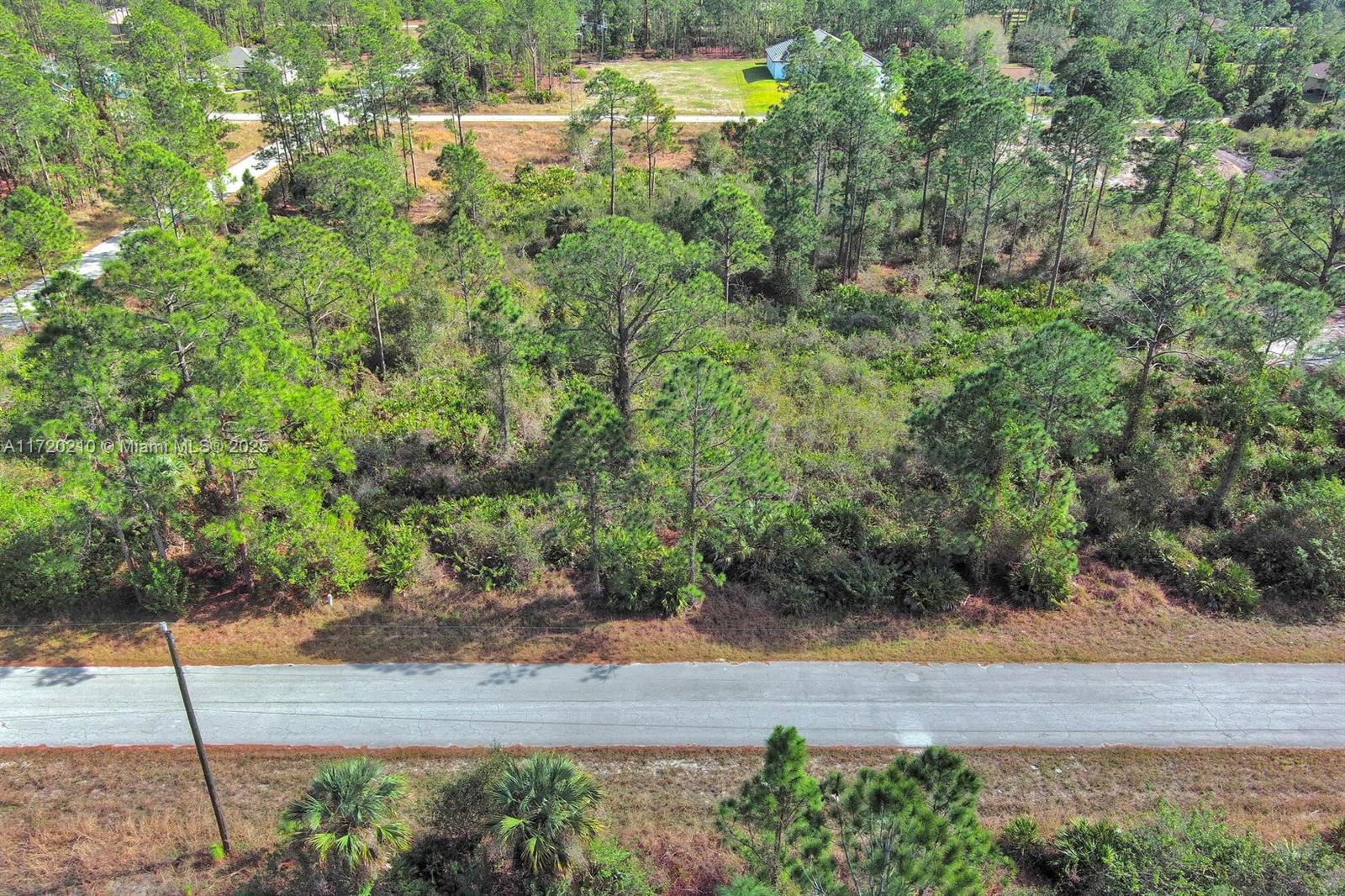 LEHIGH ACRES - Land