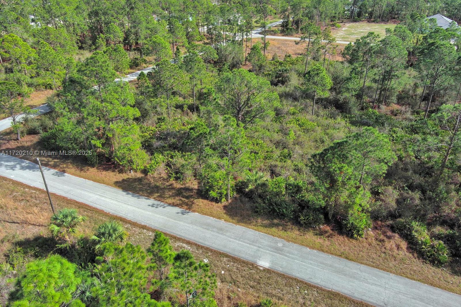 LEHIGH ACRES - Land