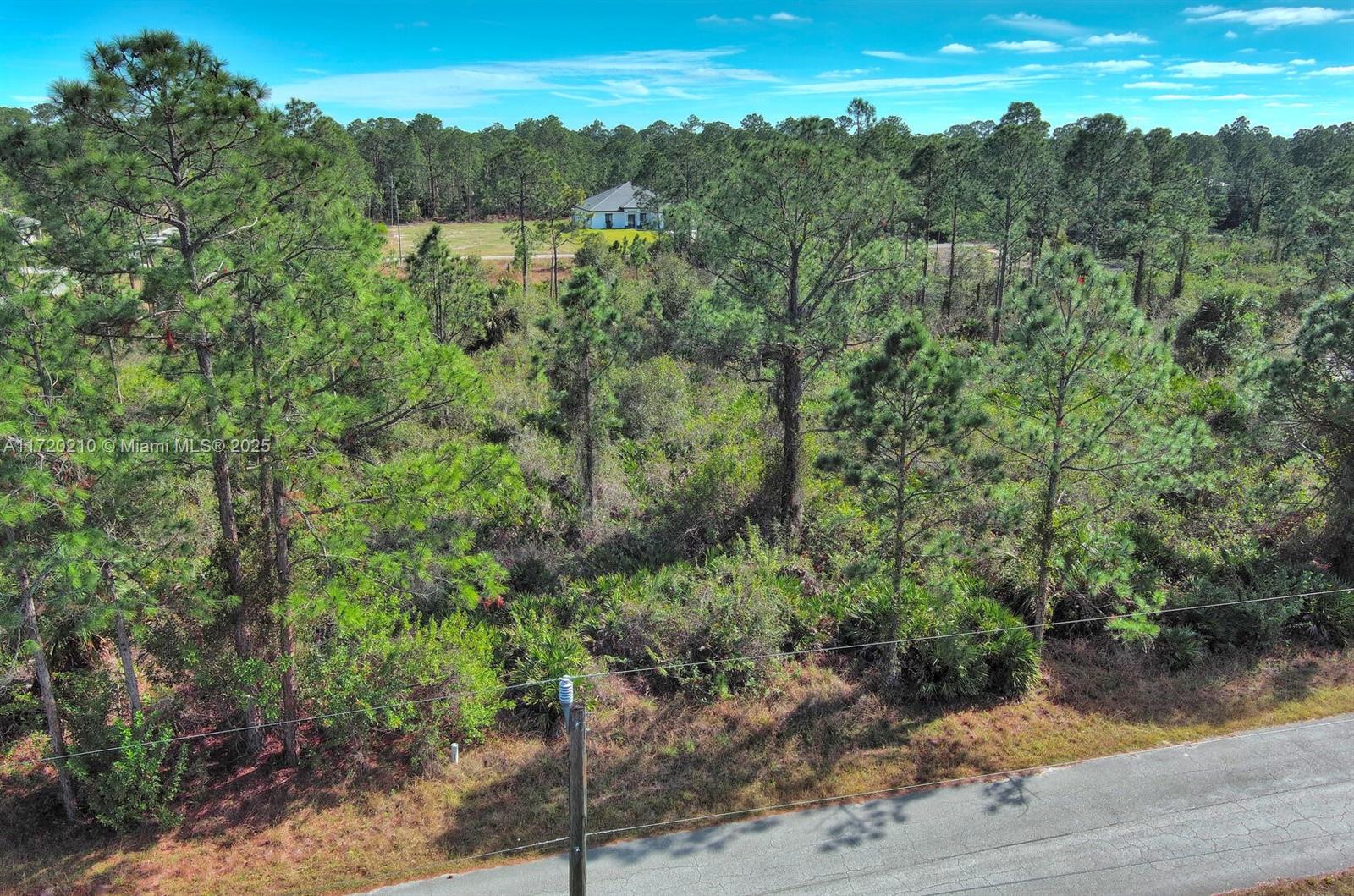 LEHIGH ACRES - Land