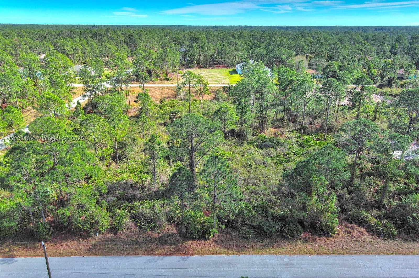 LEHIGH ACRES - Land