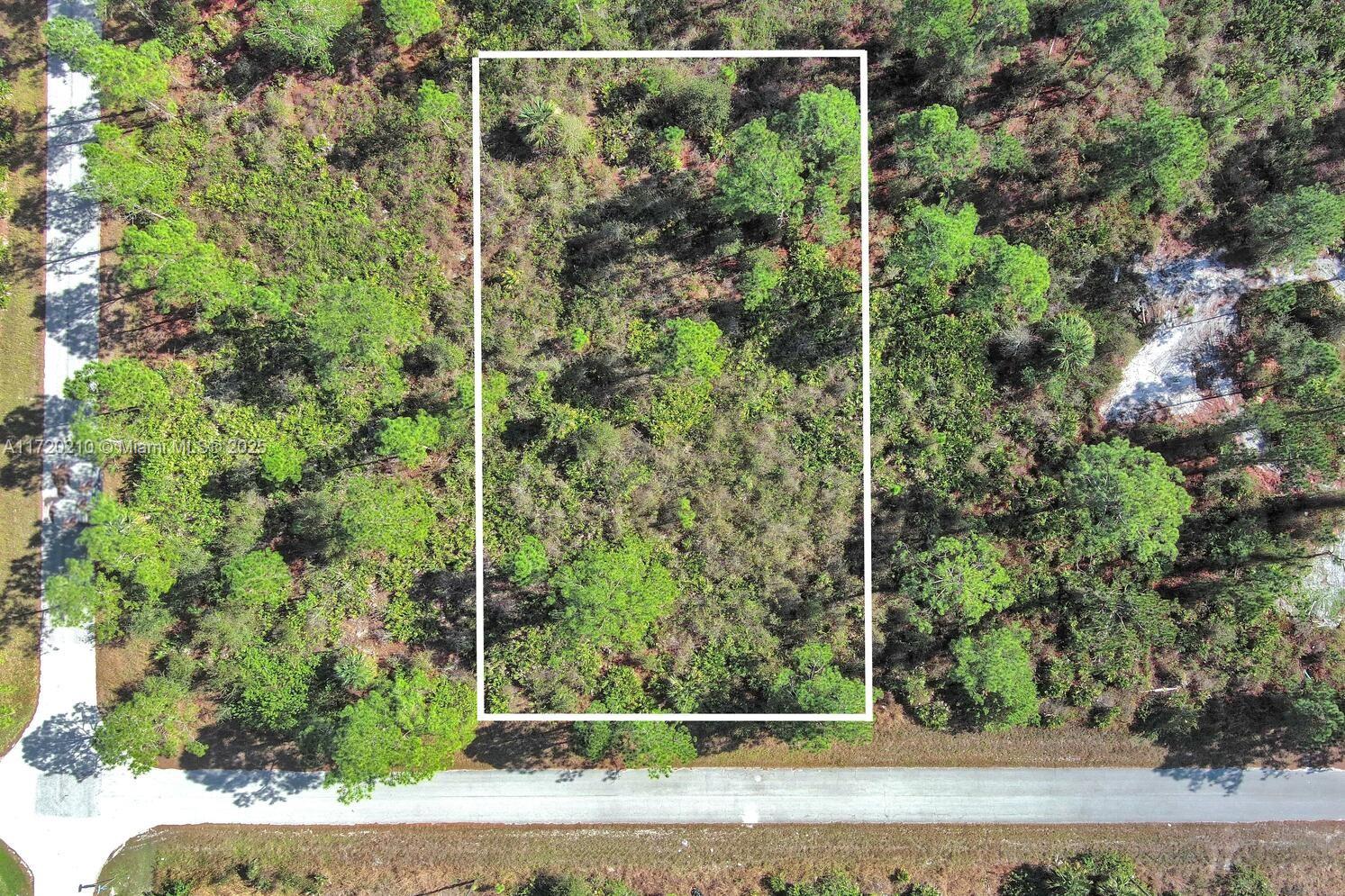 LEHIGH ACRES - Land