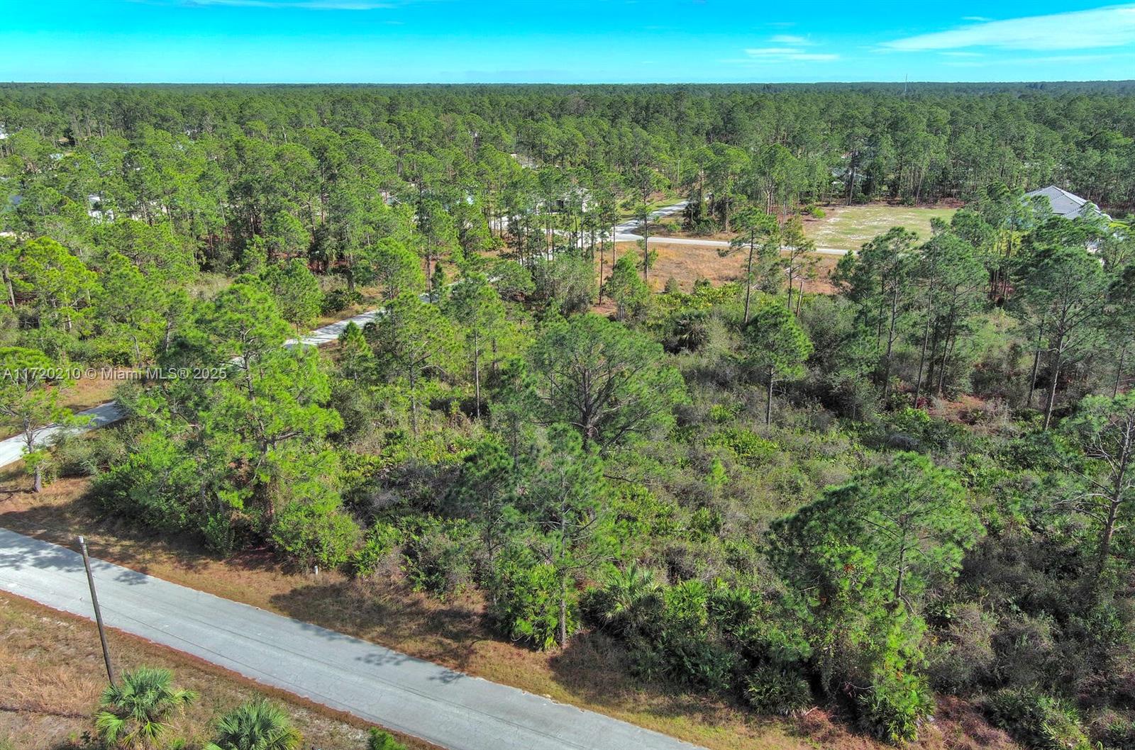 LEHIGH ACRES - Land