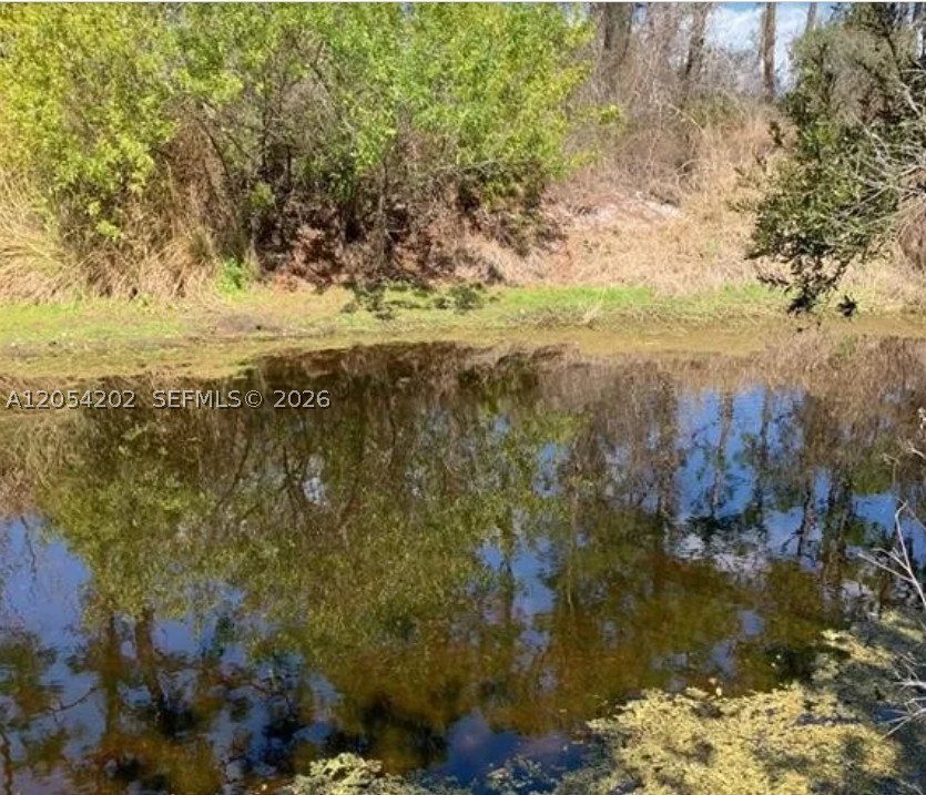 Placid Lakes - Land