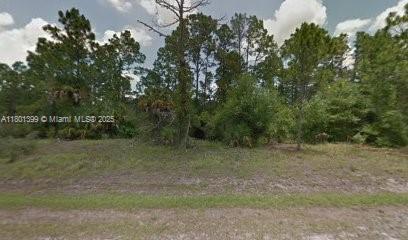 MONTURA RANCH EST 1 ST S/D - Land
