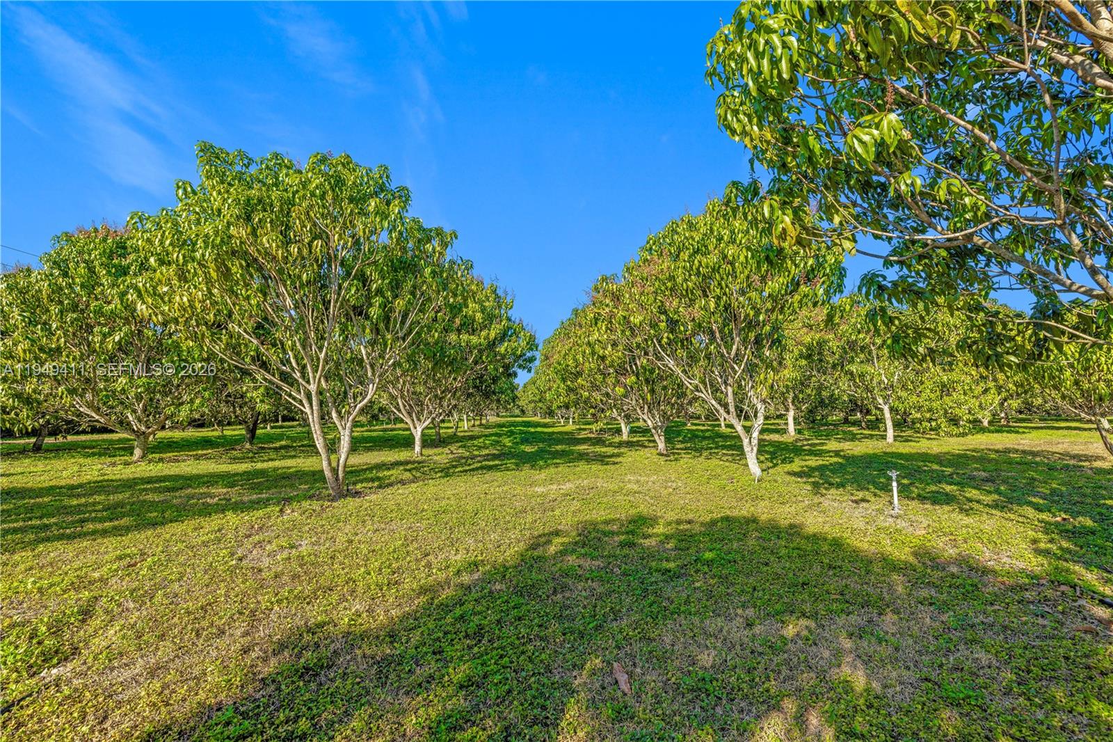 Redland Estate - Residential