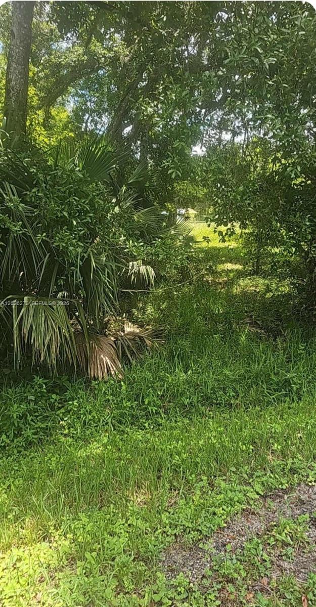 Central Acres - Land