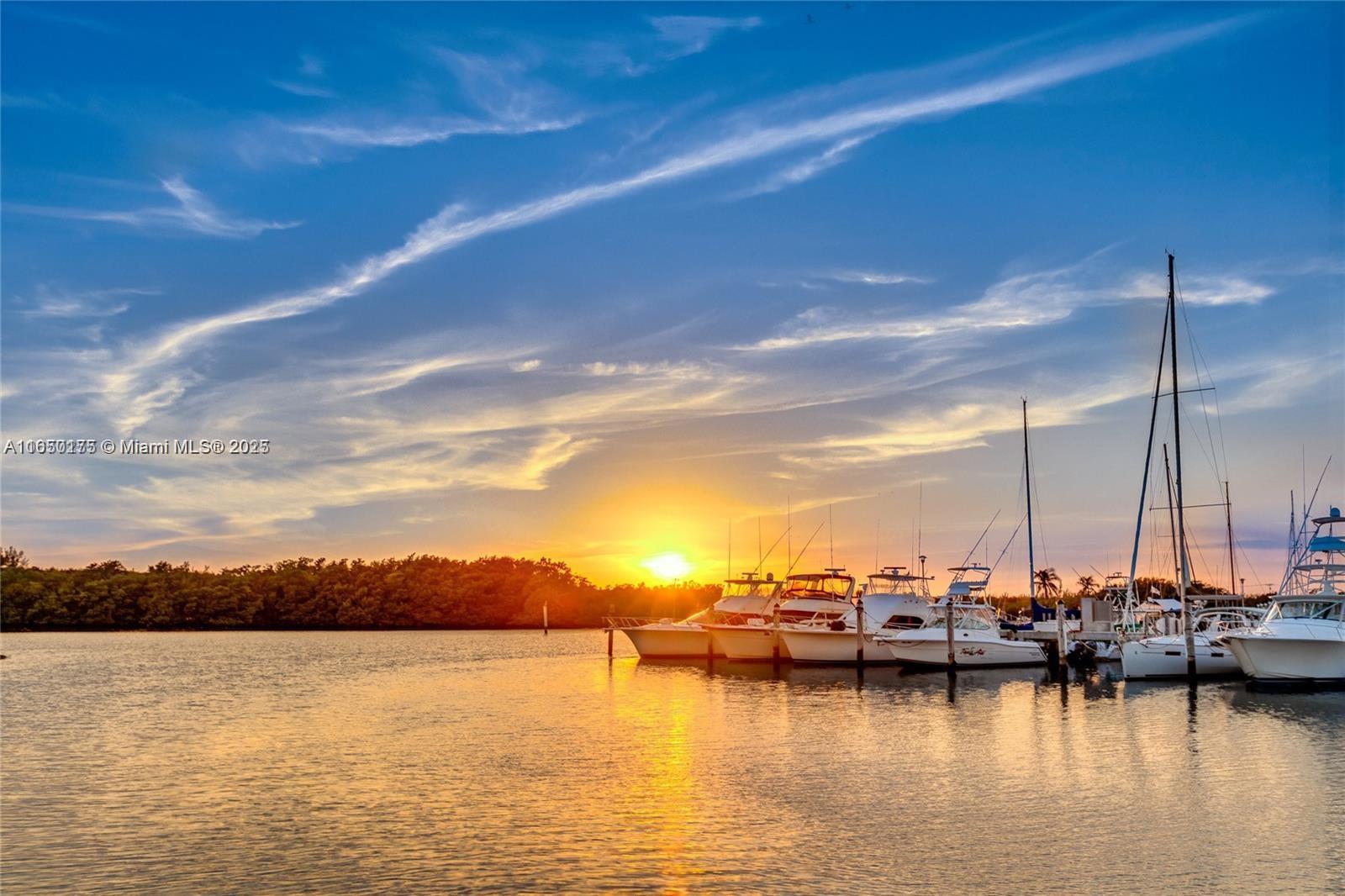 HAMMOCK OAKS HARBOR SEC 3 - Residential