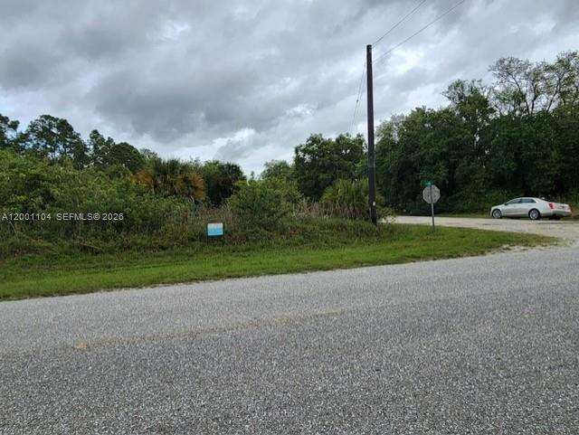 Montura Ranch Estates - Land
