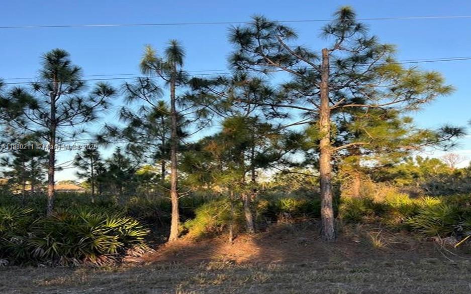 Build Your Dream Home on This Spacious Corner Lot in Lehigh Acres!
A beautiful residential lot tucked away on a quiet cul-de-sac in a growing area of Lehigh Acres, FL. It offers the perfect blend of peace and convenience, surrounded by nature and new construction homes, yet just a short drive to shopping, dining, schools, and major roads.
Plenty of space to design your ideal Florida retreat, this lot is ideal for building a primary residence, vacation getaway, or investment property. Enjoy the relaxed Florida lifestyle with nearby parks, golf courses, and easy access to Fort Myers and SW Florida’s gorgeous Gulf beaches.
Whether you're looking to build now or invest for the future, is an excellent opportunity to own a piece of paradise in one of SW Florida’s fastest-growing communities.