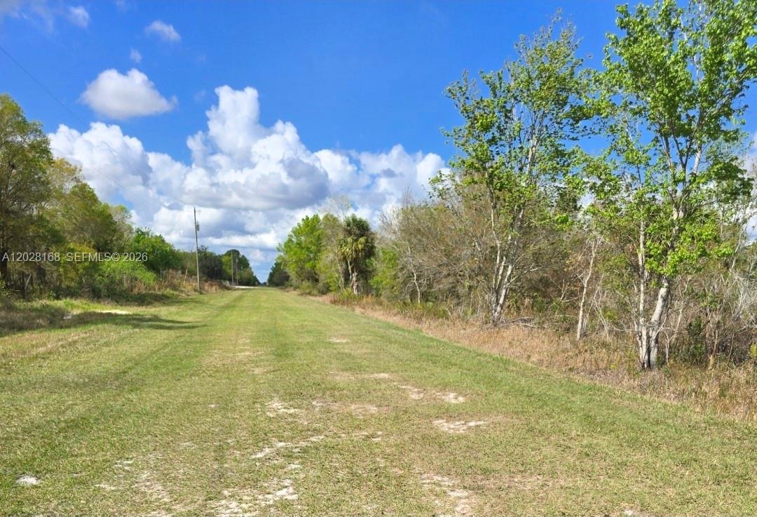 A 1.25-acre lot situated in a rapidly growing area, just a few miles from the Kissimmee Prairie Preserve. It features both residential and agricultural zoning, offering a wide range of possibilities for developing the property of your dreams. It is ideal for building your dream home, establishing plant nurseries, creating fish farms, developing private cemeteries, or starting an agricultural operation. There are homes located nearby, and the property features direct street access. The land is dry and ready for construction. All information described in this listing has been provided by third parties.