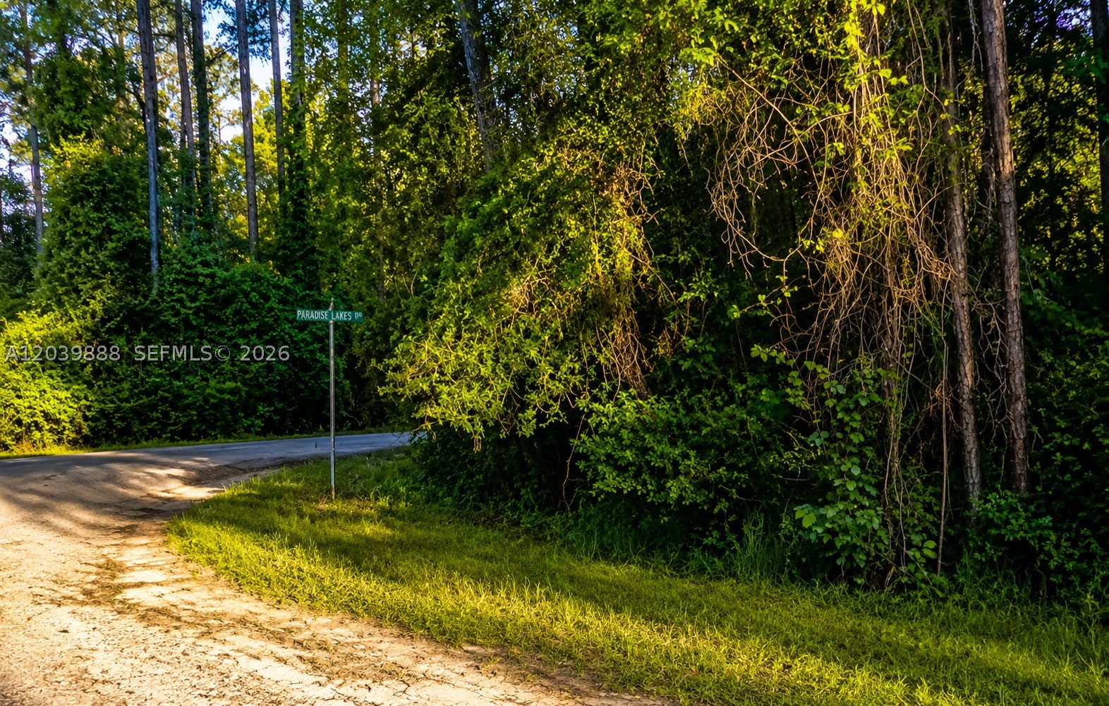 Owner Financing Available! Experience country living at its finest on this beautiful 0.23-acre lot in the highly desirable Georgetown, Florida area. Whether you're looking to build your dream home or place a manufactured home, this property offers the perfect opportunity to enjoy the peaceful Florida lifestyle. Residents have access to the St. Johns River Rod & Reel Club, featuring a boat ramp, fishing pier, and direct access to Lake George and the St. Johns River. Enjoy endless outdoor recreation including boating, fishing, kayaking, and exploring some of Florida's most stunning natural attractions. Take a short drive to Salt Springs and Silver Glen Springs, known for their crystal-clear waters and year-round swimming. With its natural beauty, recreational opportunities, and flexible building options, this property is an excellent choice for homeowners, vacationers, or investors alike. Don't miss your chance to own a piece of Florida paradise—drive by and see it today! Buyer to independently verify all property information, including zoning, land use, utilities, flood zone, environmental conditions, and building requirements. Information provided is deemed reliable but not guaranteed.