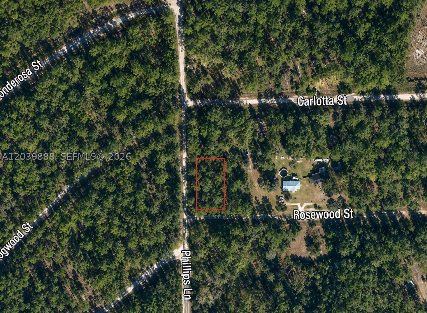 Owner Financing Available! Experience country living at its finest on this beautiful 0.23-acre lot in the highly desirable Georgetown, Florida area. Whether you're looking to build your dream home or place a manufactured home, this property offers the perfect opportunity to enjoy the peaceful Florida lifestyle. Residents have access to the St. Johns River Rod & Reel Club, featuring a boat ramp, fishing pier, and direct access to Lake George and the St. Johns River. Enjoy endless outdoor recreation including boating, fishing, kayaking, and exploring some of Florida's most stunning natural attractions. Take a short drive to Salt Springs and Silver Glen Springs, known for their crystal-clear waters and year-round swimming. With its natural beauty, recreational opportunities, and flexible building options, this property is an excellent choice for homeowners, vacationers, or investors alike. Don't miss your chance to own a piece of Florida paradise—drive by and see it today! Buyer to independently verify all property information, including zoning, land use, utilities, flood zone, environmental conditions, and building requirements. Information provided is deemed reliable but not guaranteed.