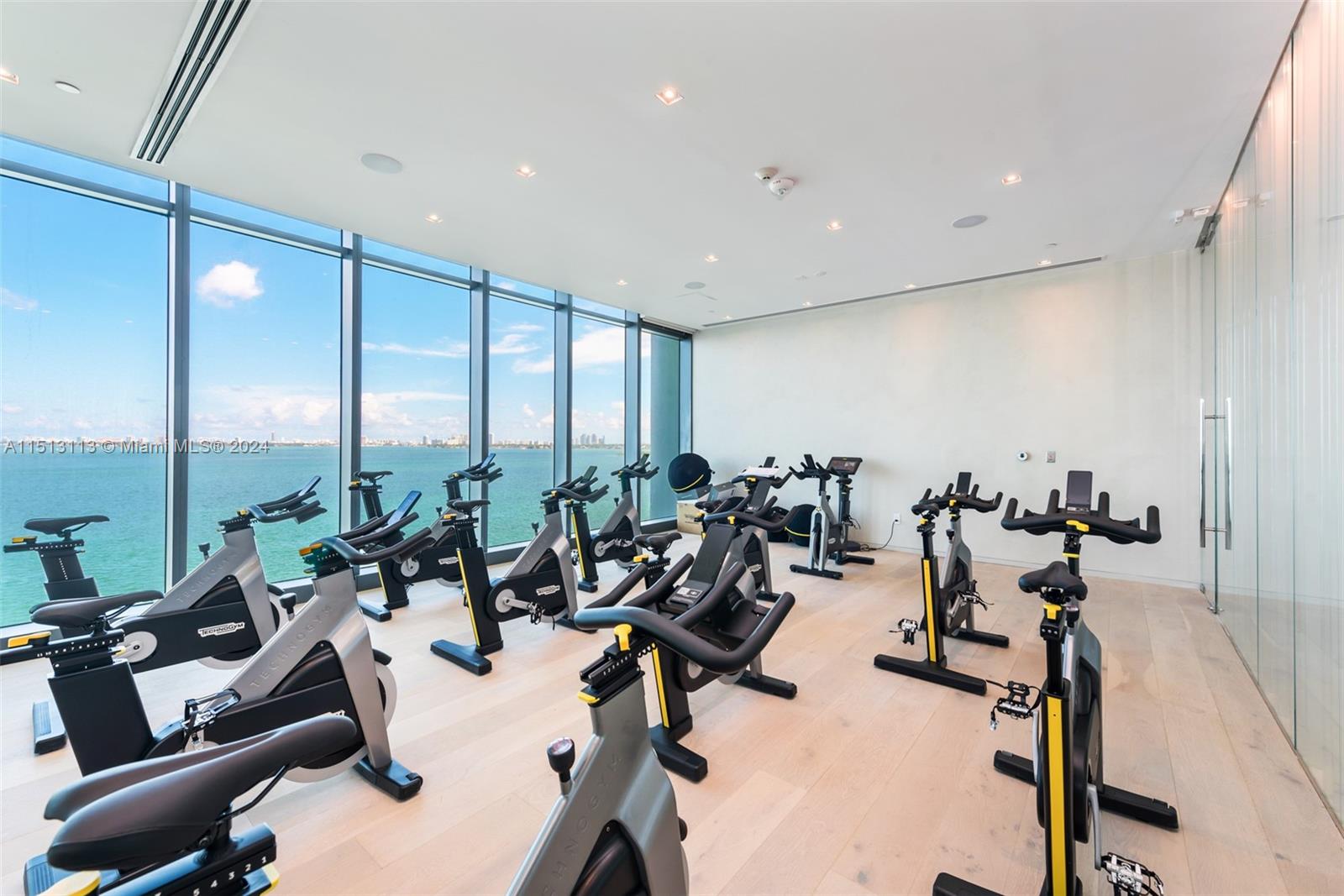 ONE PARAISO CONDO - Residential