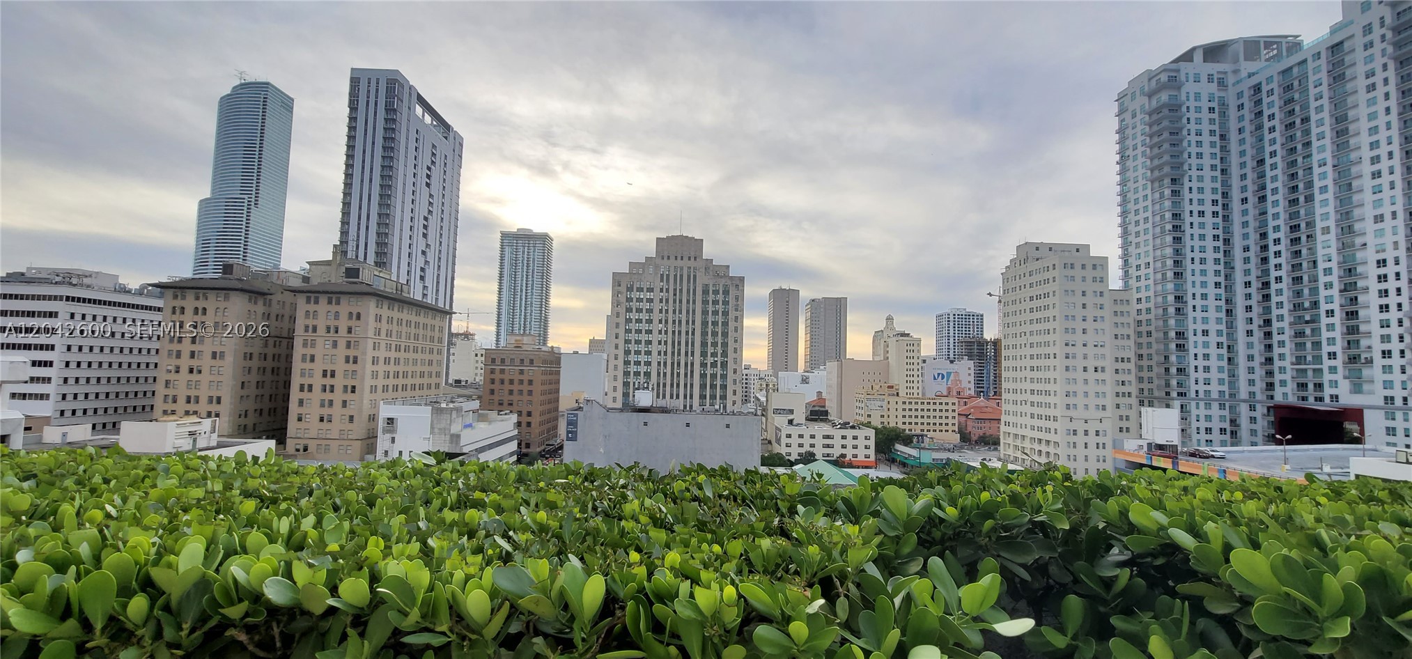 50 BISCAYNE CONDO - Residential Lease