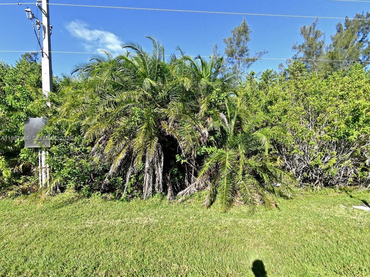 SURFSIDE PLAZA UNIT 1 REP - Land