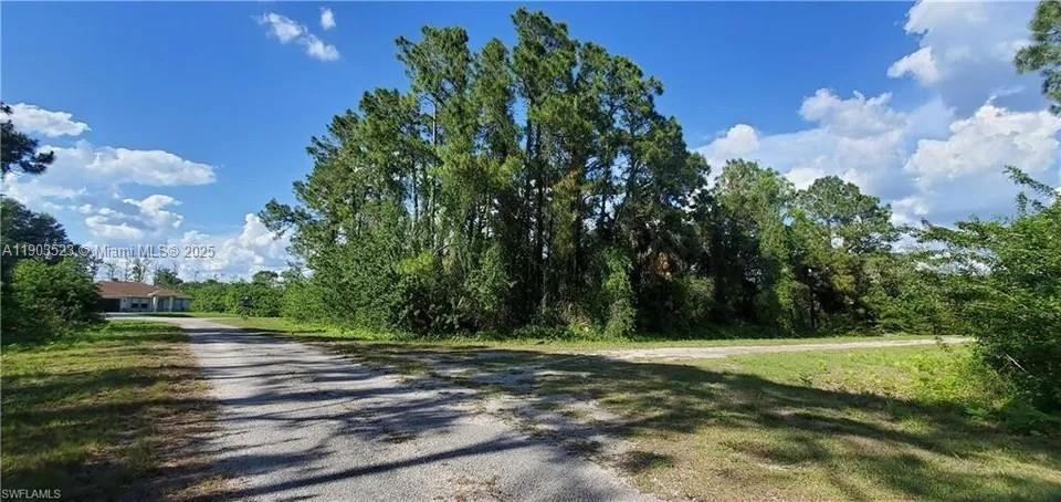 LEHIGH ACRES - Land