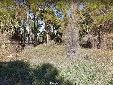 LEHIGH ACRES - Land