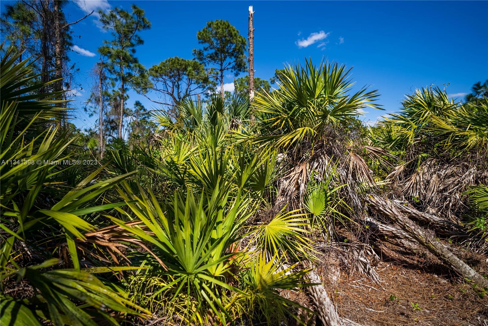 Lehigh Acres - Land