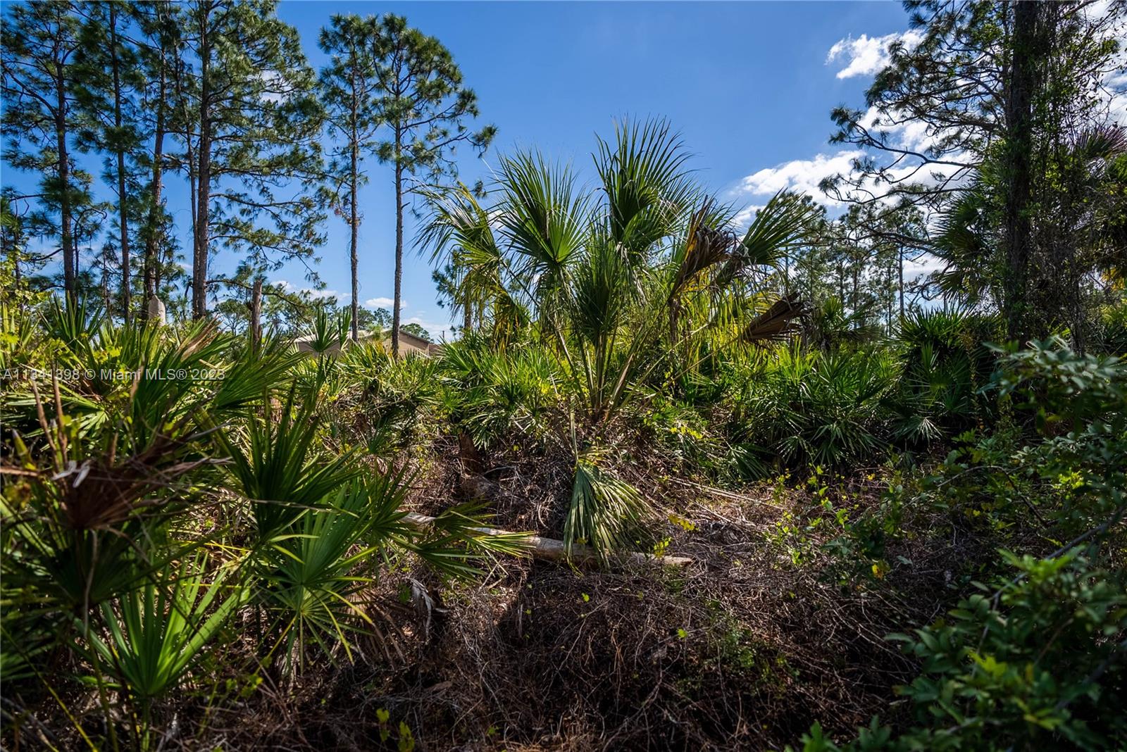 Lehigh Acres - Land