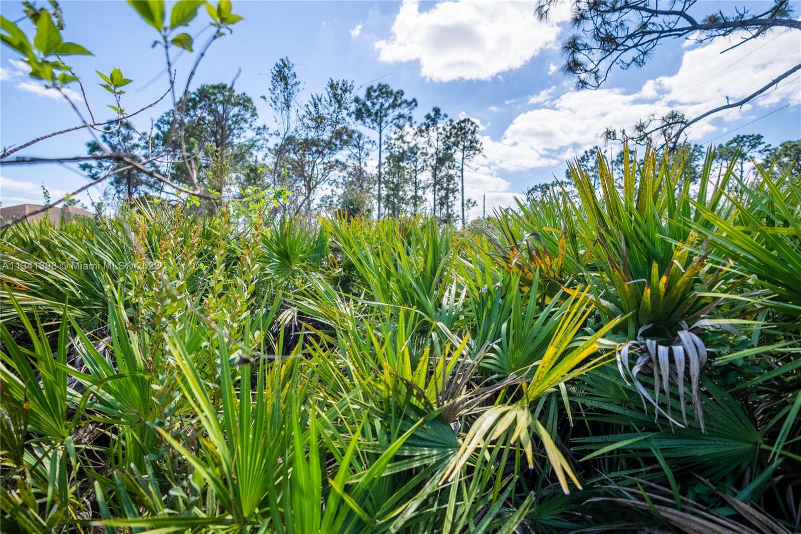 Lehigh Acres - Land