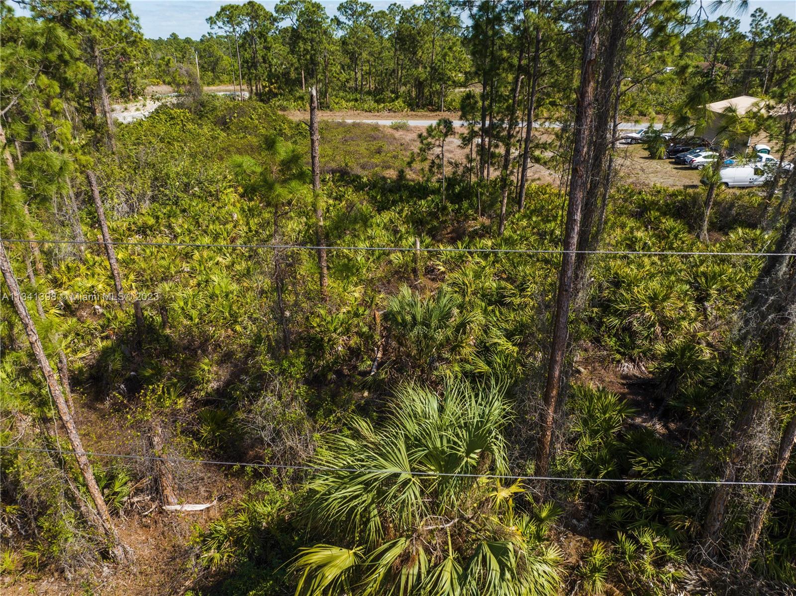 Lehigh Acres - Land