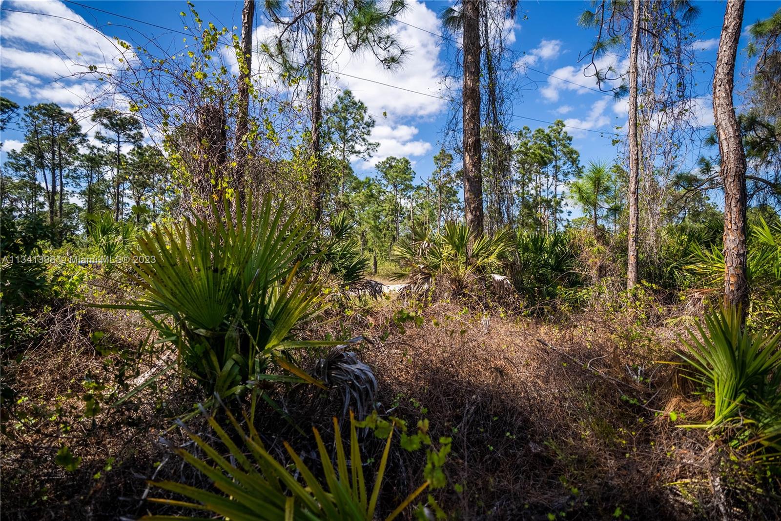 Lehigh Acres - Land