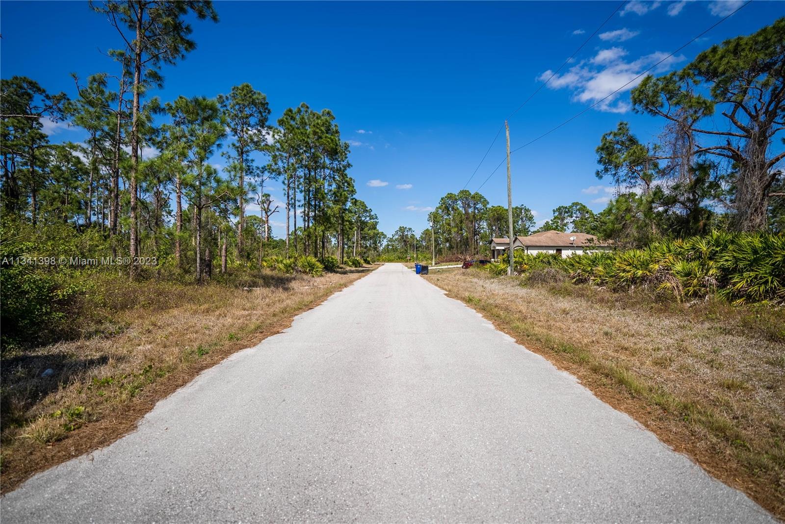 Lehigh Acres - Land