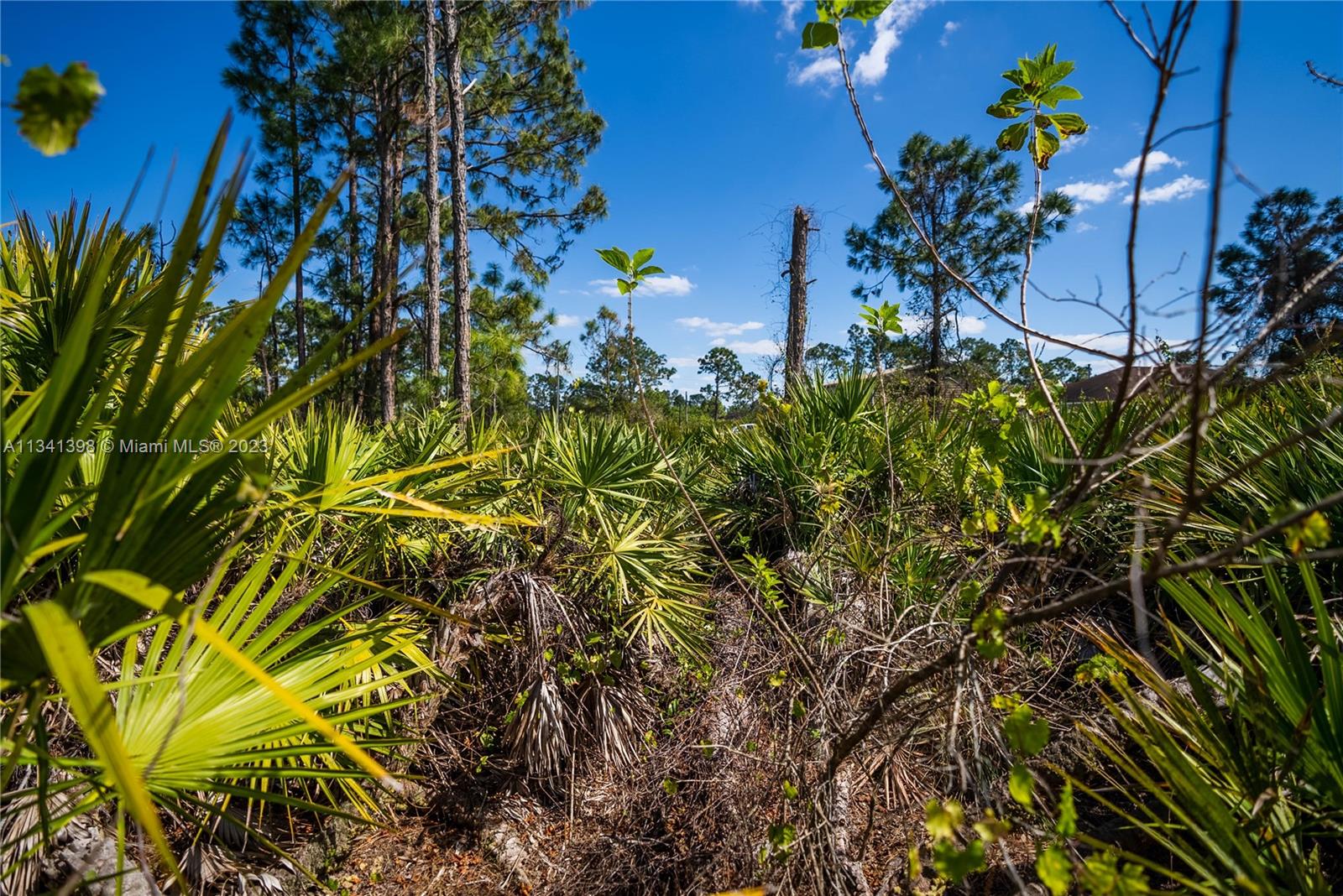 Lehigh Acres - Land