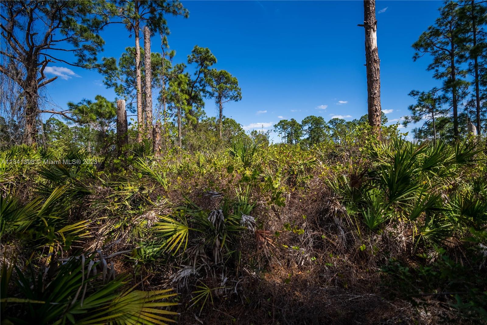 Lehigh Acres - Land