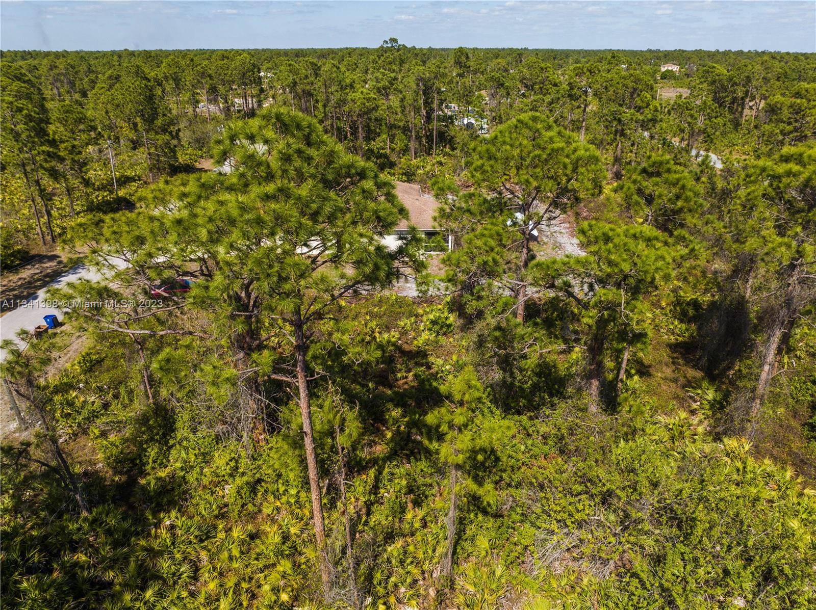 Lehigh Acres - Land