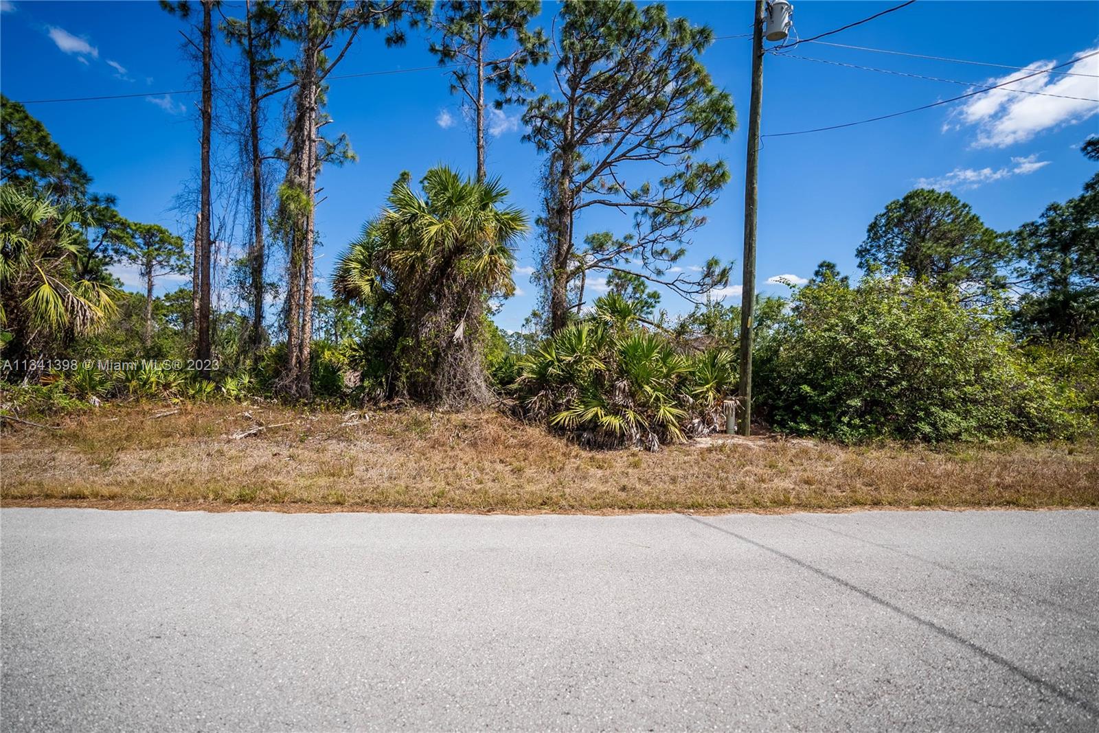 Lehigh Acres - Land