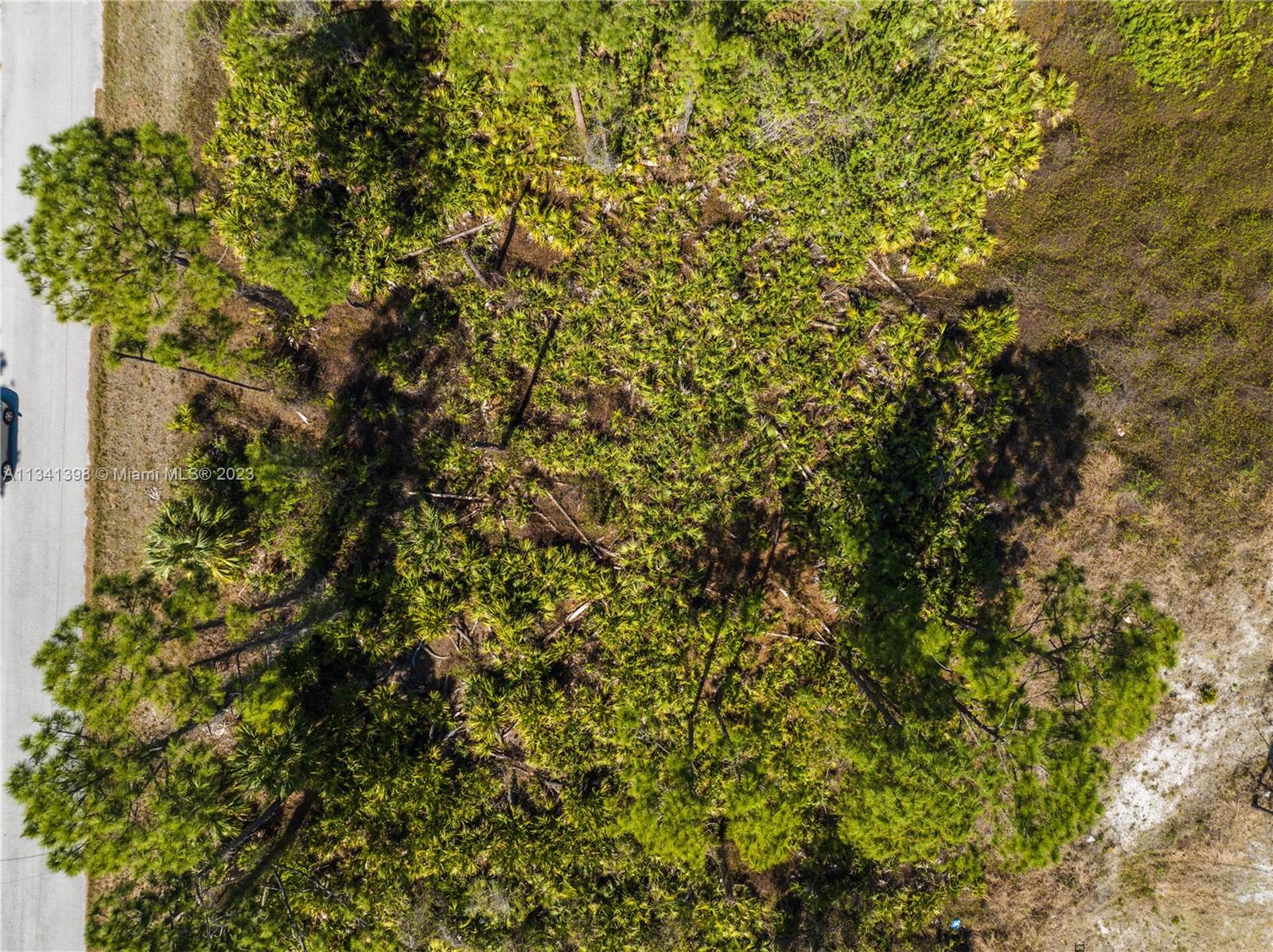 Lehigh Acres - Land
