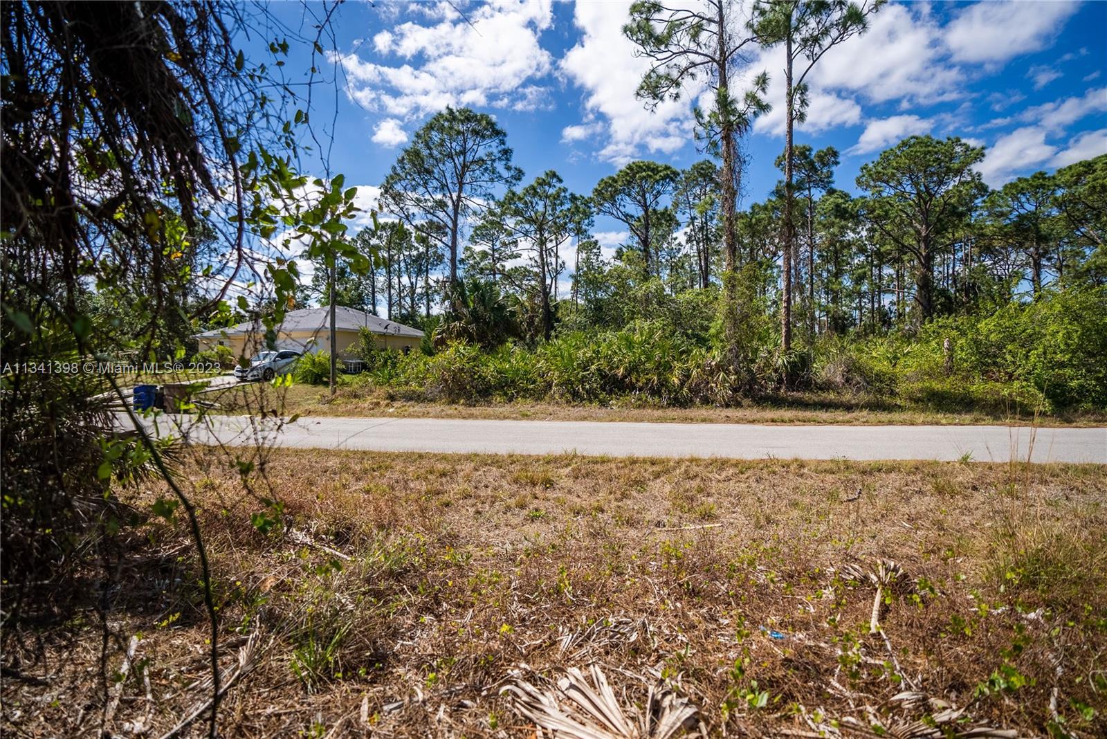 Lehigh Acres - Land