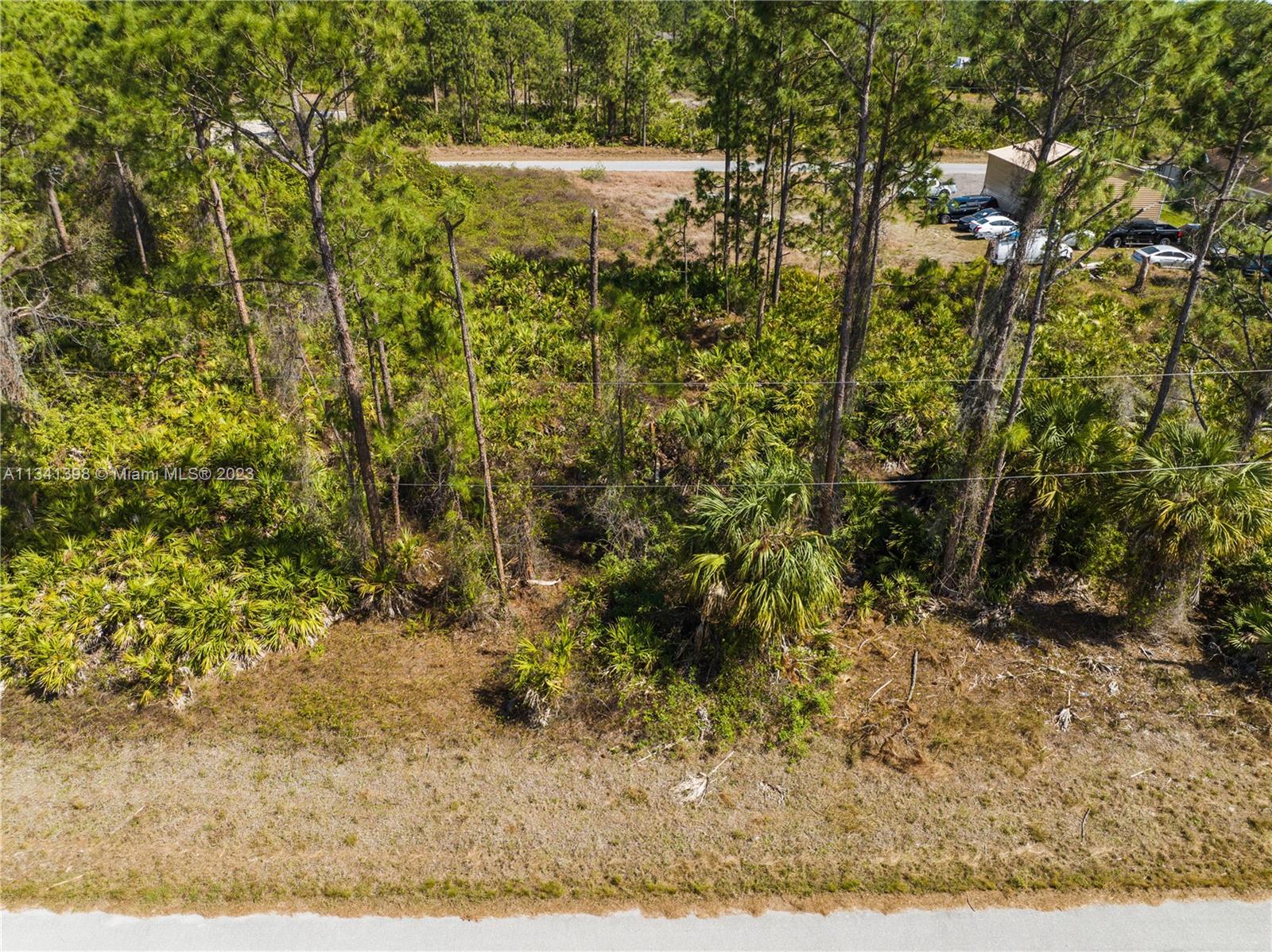 Lehigh Acres - Land