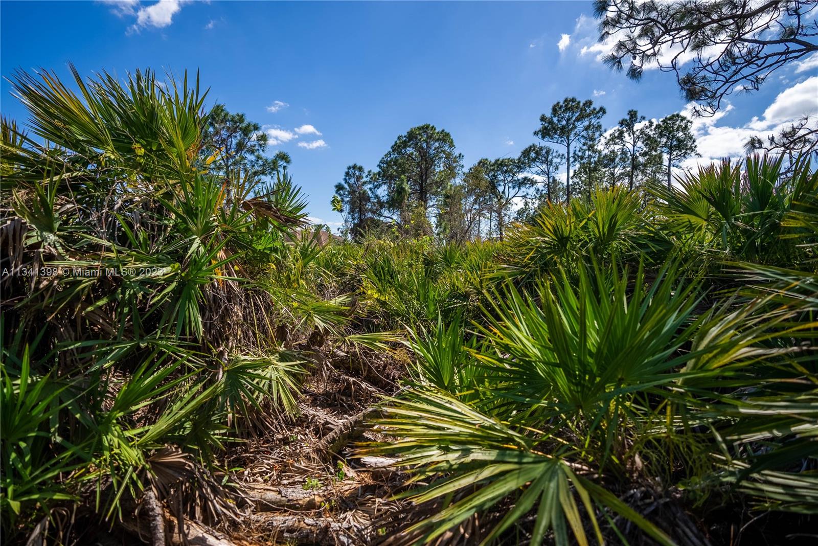 Lehigh Acres - Land