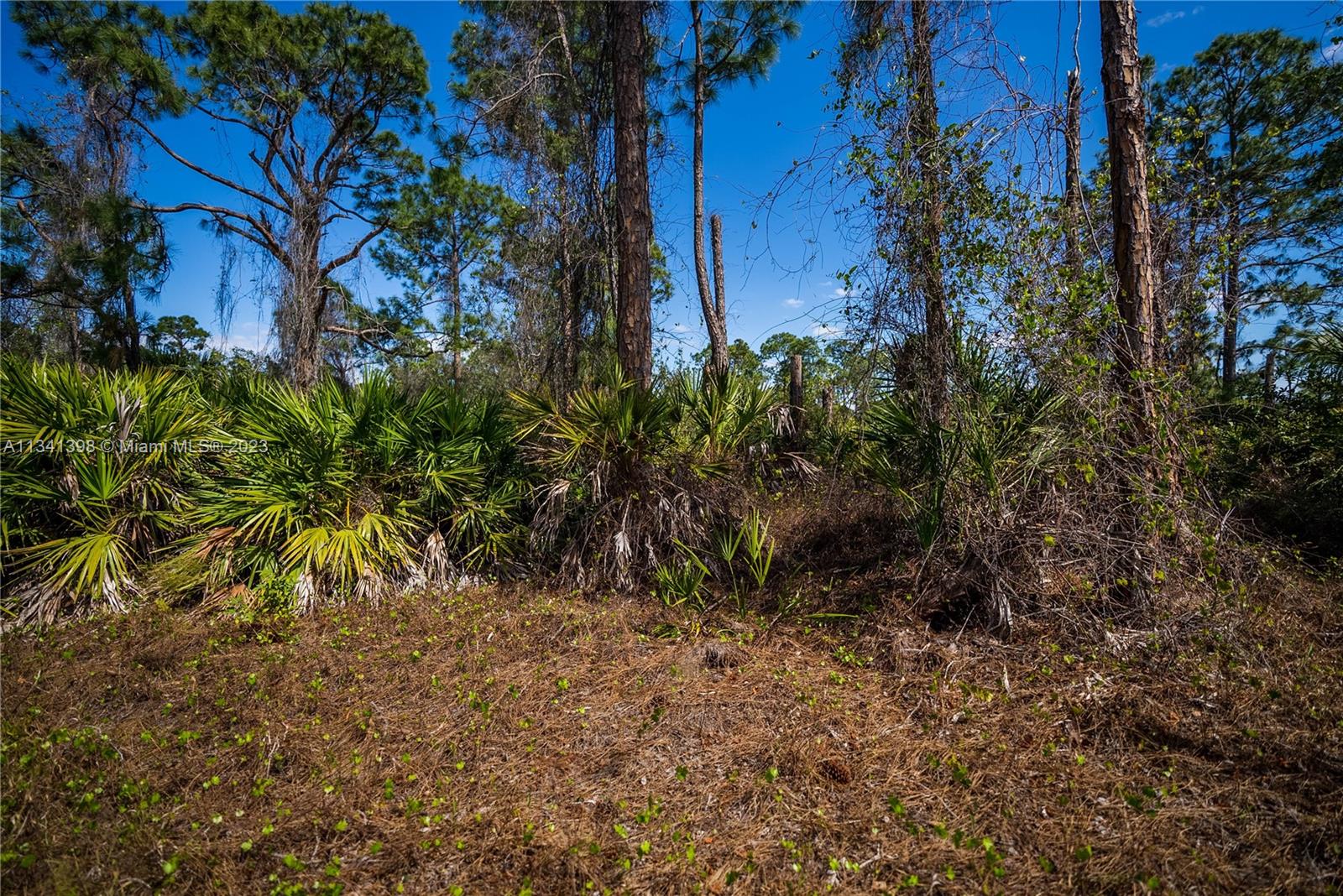 Lehigh Acres - Land