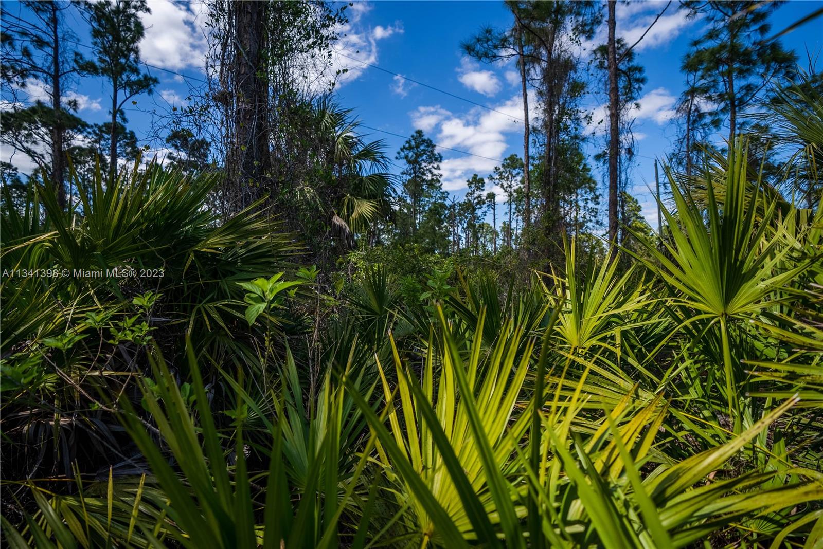 Lehigh Acres - Land