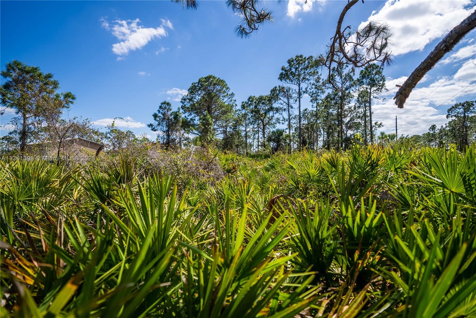 Lehigh Acres - Land
