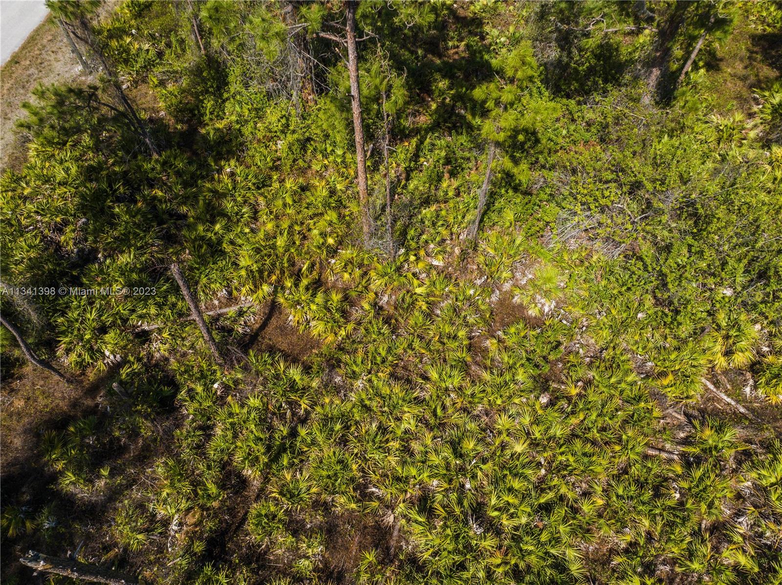 Lehigh Acres - Land