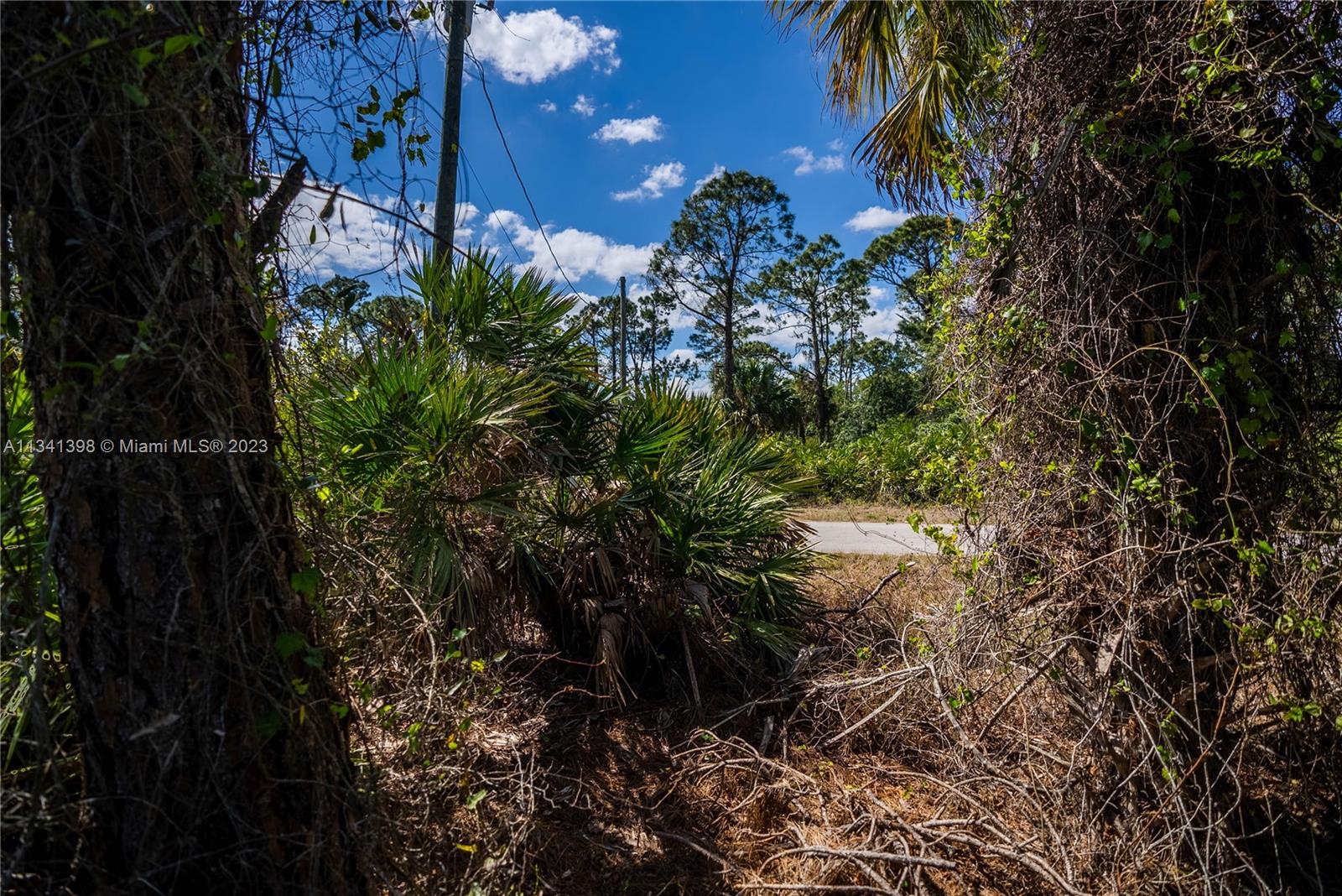 Lehigh Acres - Land