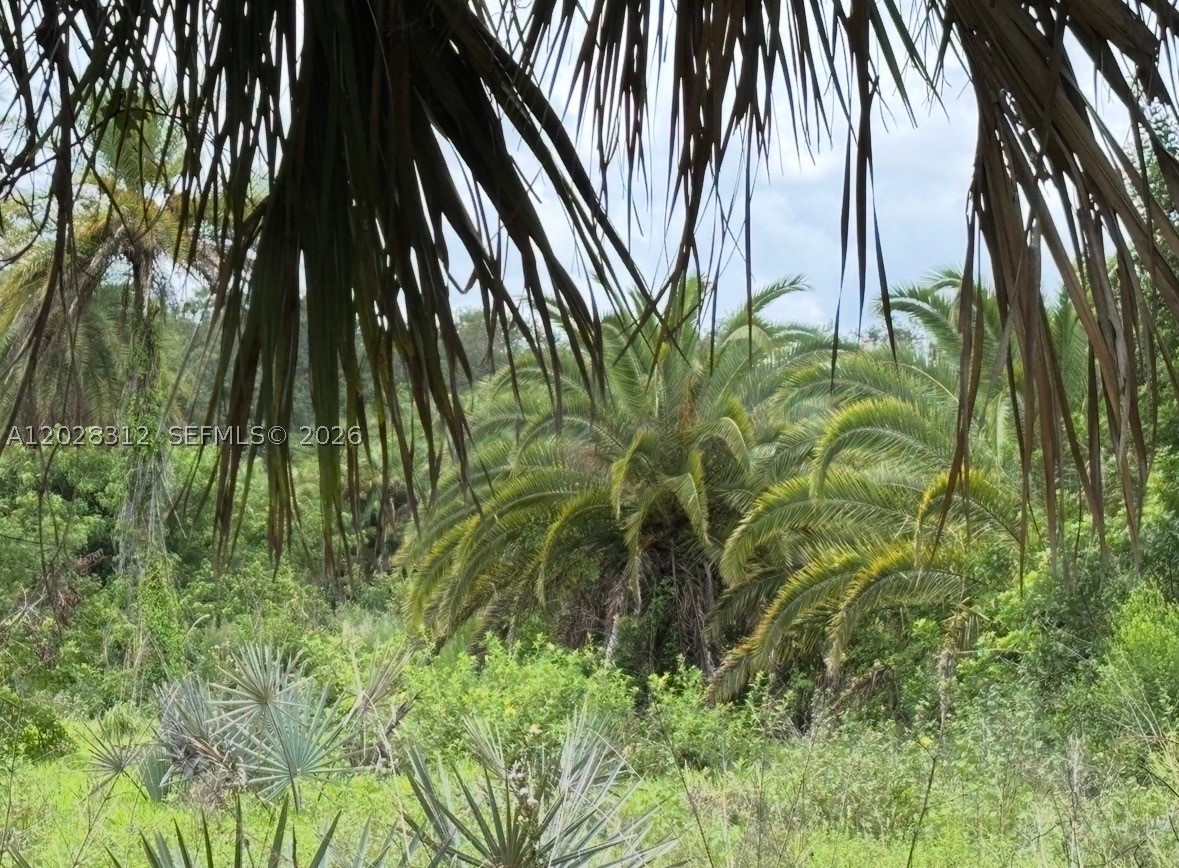 RESUBDIVISION OF SEC 7 - Land