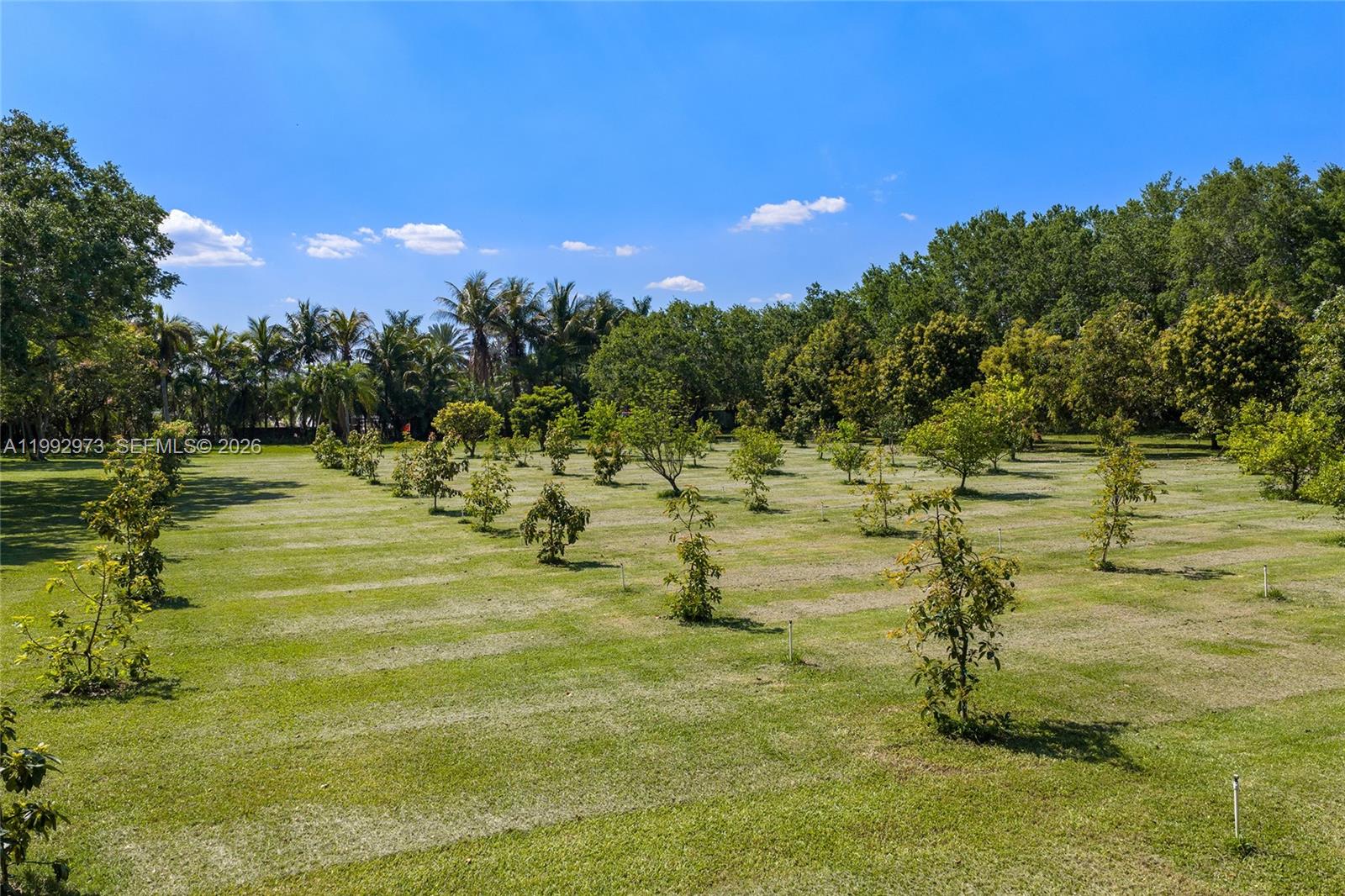 BREEZY OAKS - Residential
