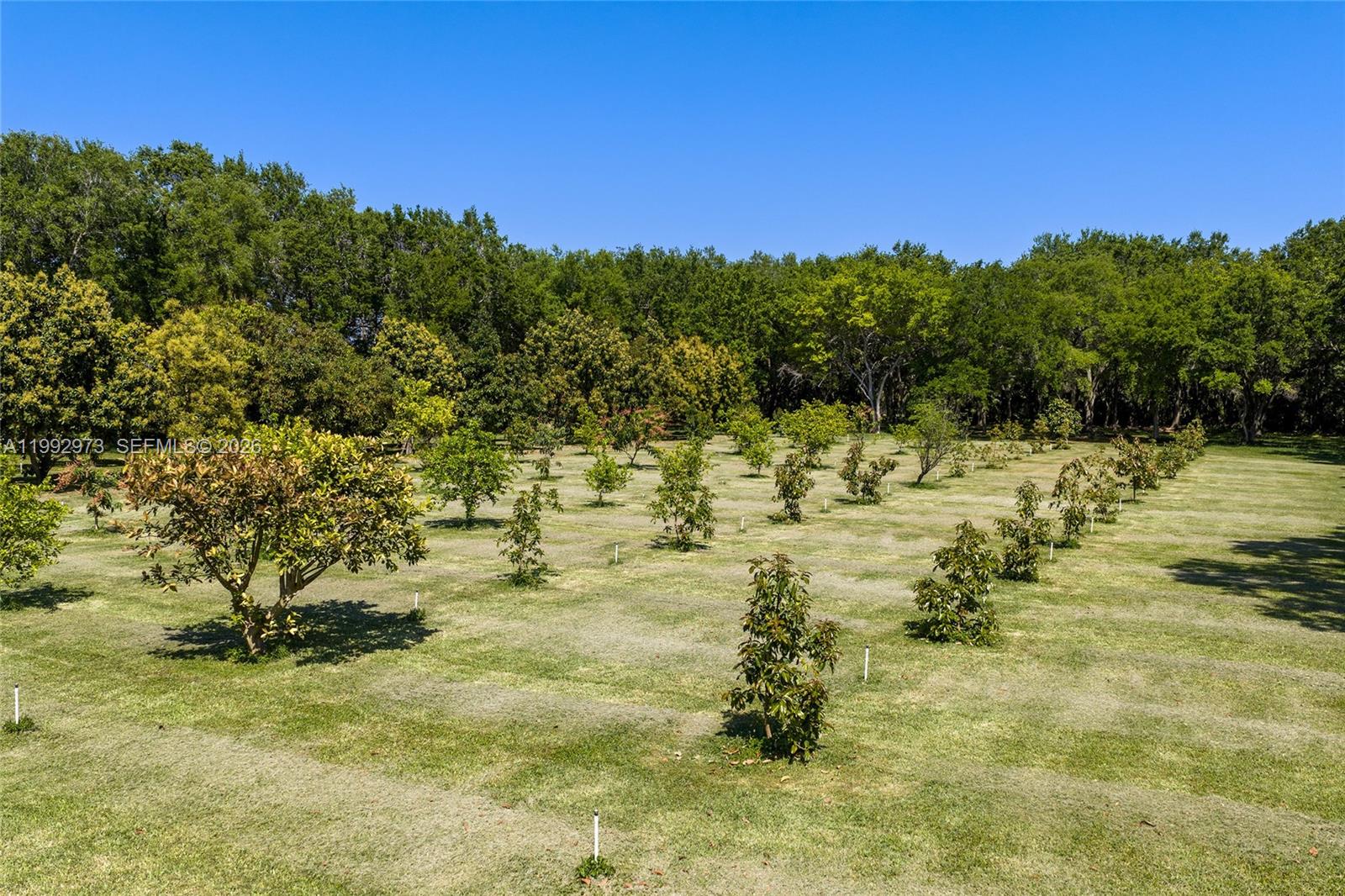 BREEZY OAKS - Residential