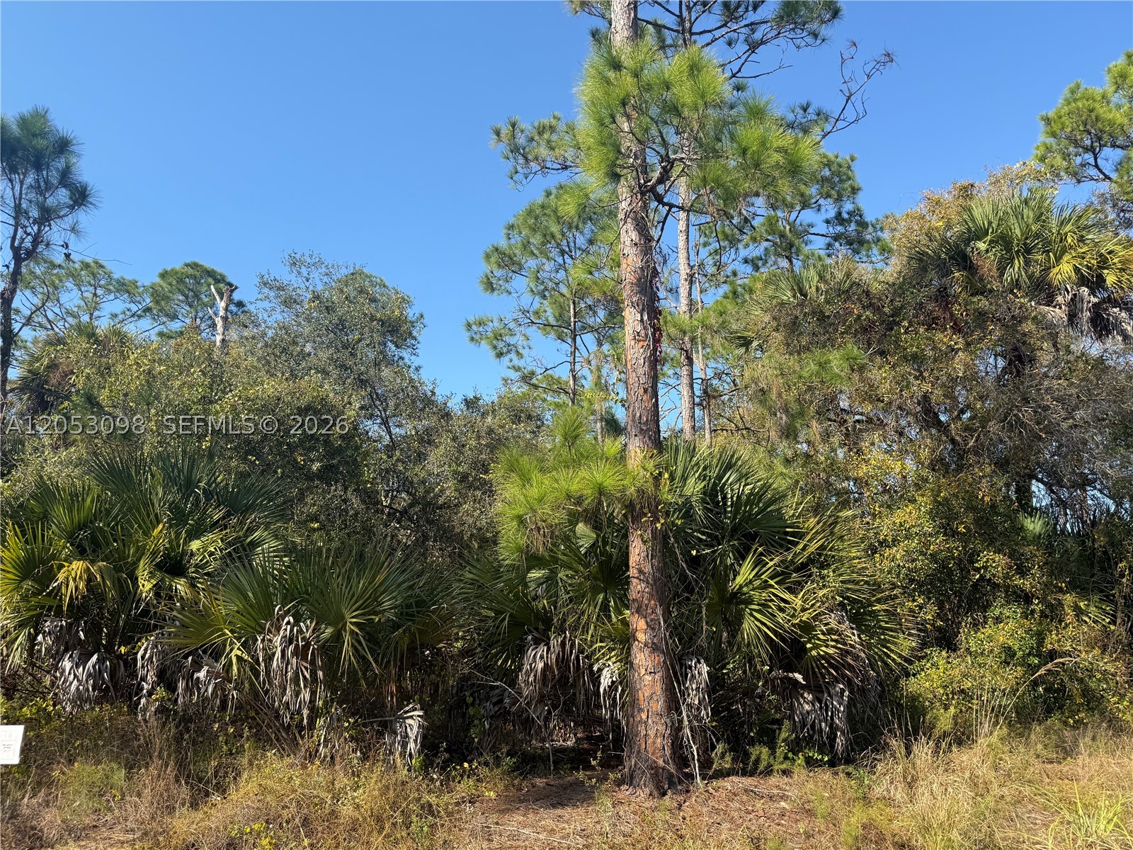 MONTURA RANCH ESTATES - Land