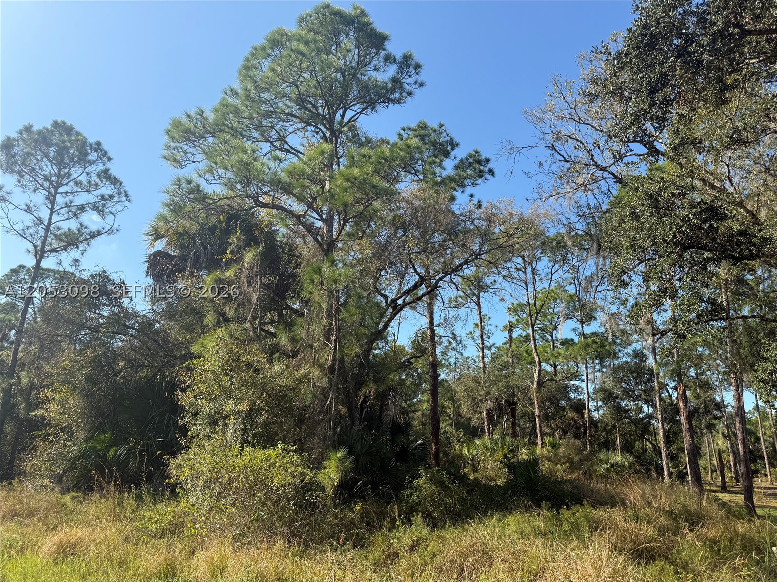 MONTURA RANCH ESTATES - Land