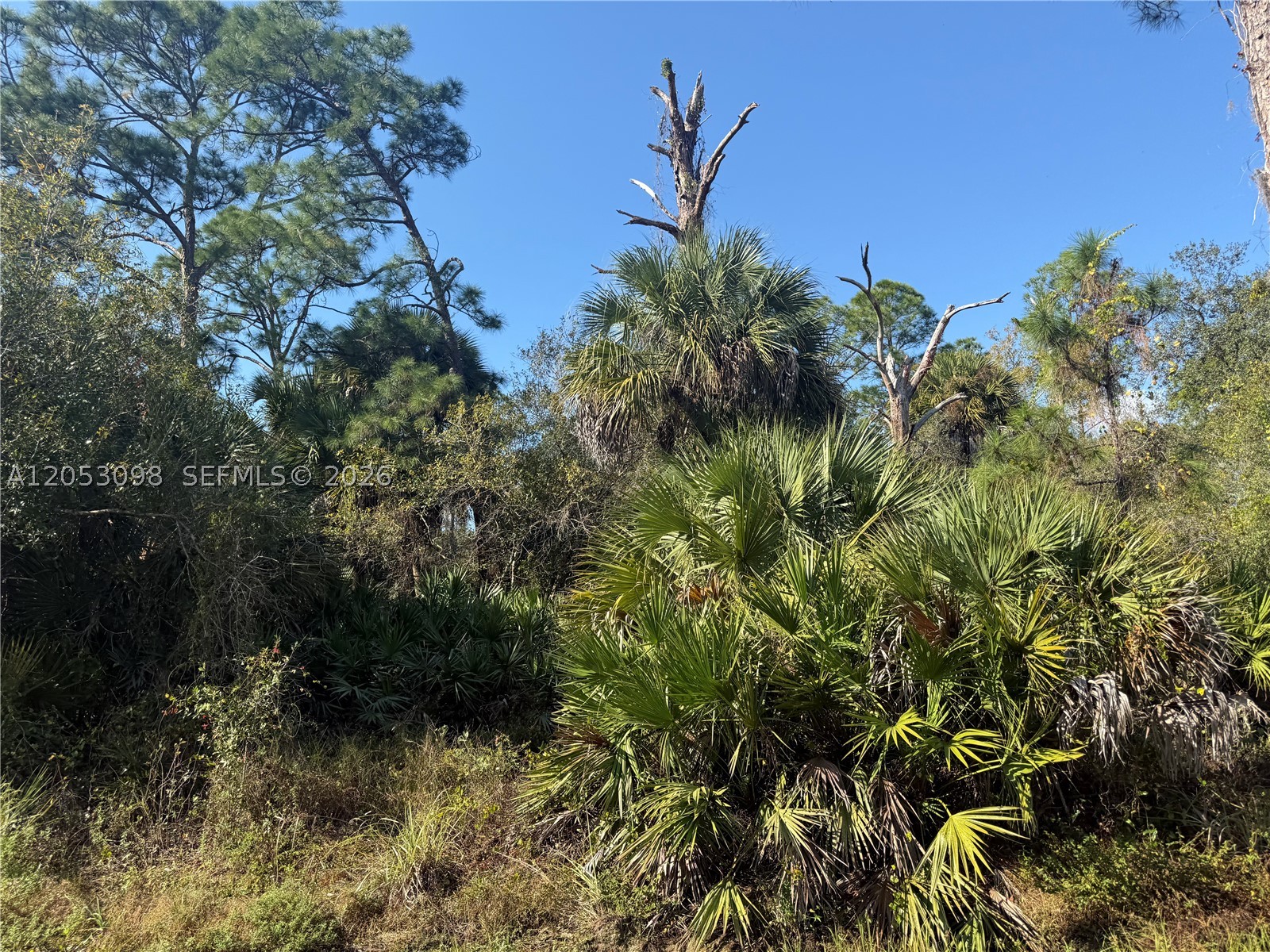 MONTURA RANCH ESTATES - Land