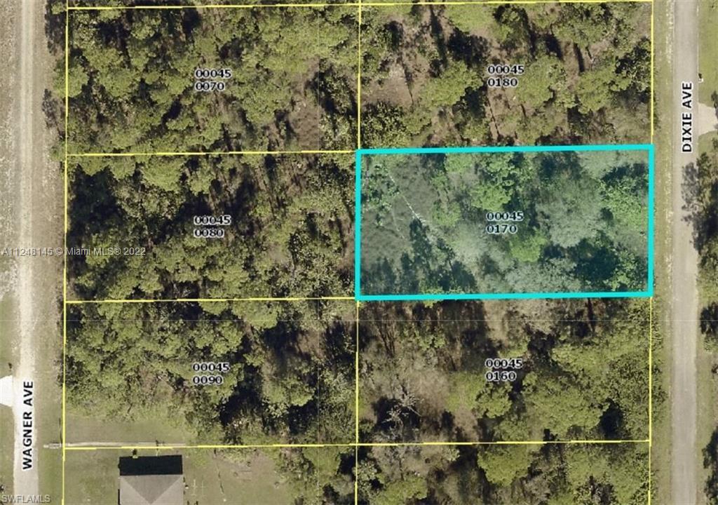 LEHIGH ACRES - Land