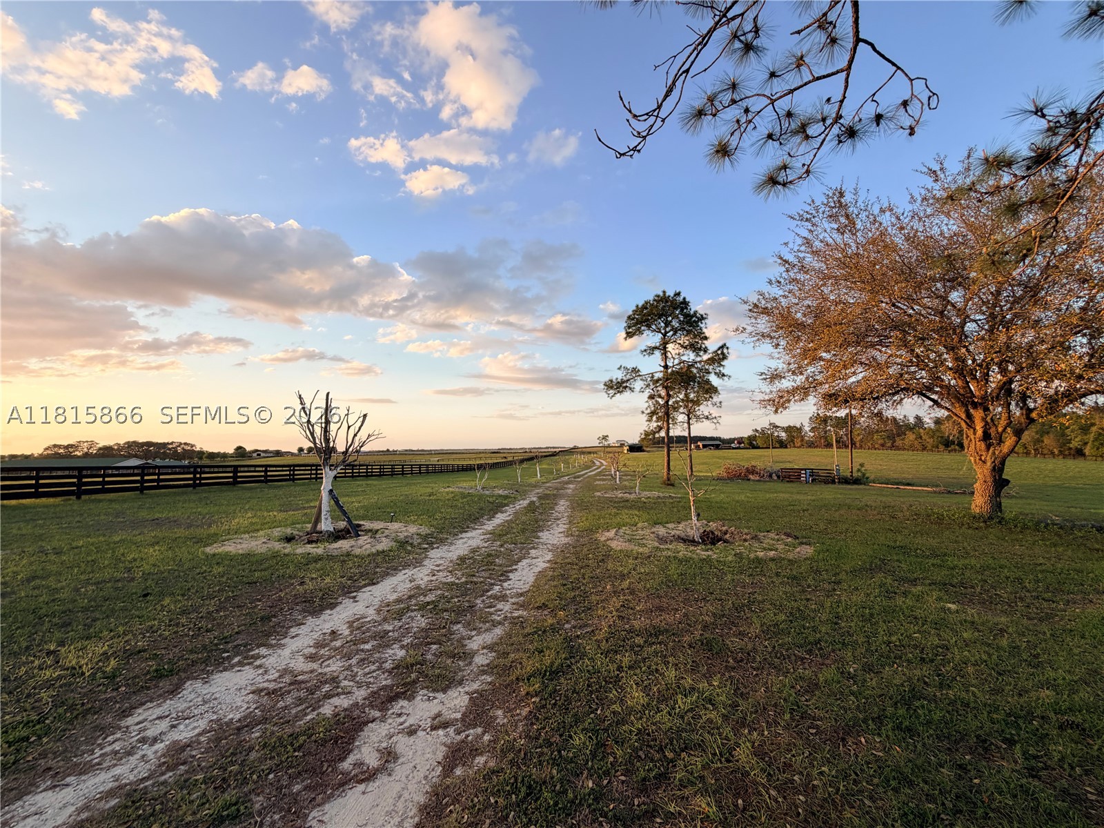 Williston Mile - Residential